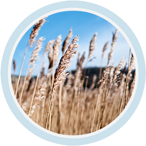 k1体育麻将胡了(中国集团)官方网站