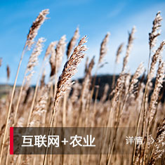 k1体育麻将胡了(中国集团)官方网站