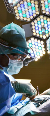 k1体育麻将胡了(中国集团)官方网站